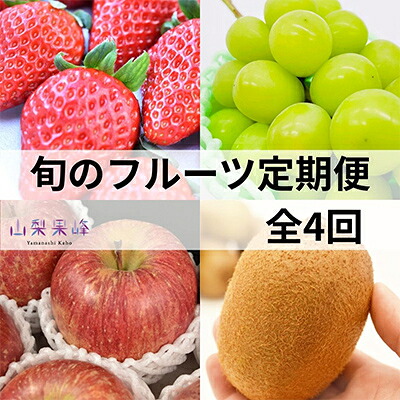 【ふるさと納税】【発送月固定定期便】山梨市産　旬のフルーツ定期便全4回【配送不可地域：離島・沖縄県】【4074306】