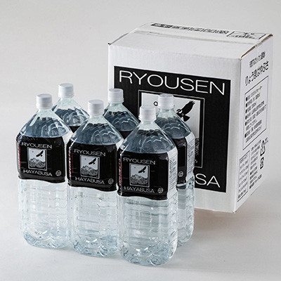 【ふるさと納税】【2週間毎定期便】りょう泉はやぶさ温泉水2L×6本 高アルカリで超軟水、健康と美をサポート全12回【4083360】|山梨県山梨市