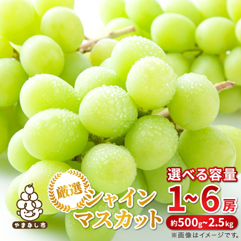 楽天市場】【ふるさと納税】2026年度先行予約 フルーツ王国山梨