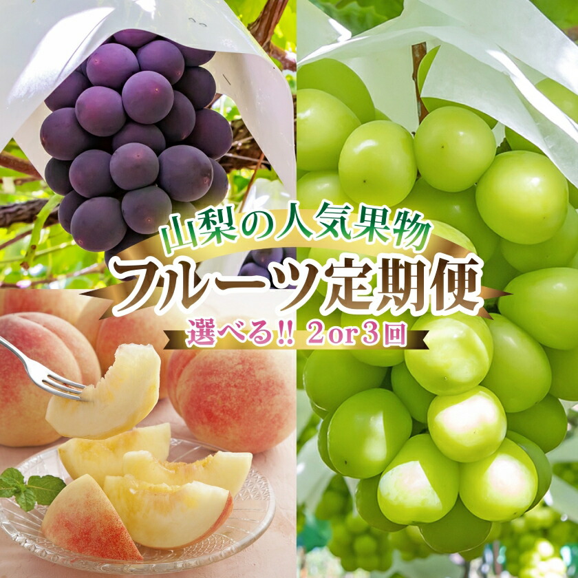 旬の果物 定期便（桃・黒ぶどう・シャインマスカット）