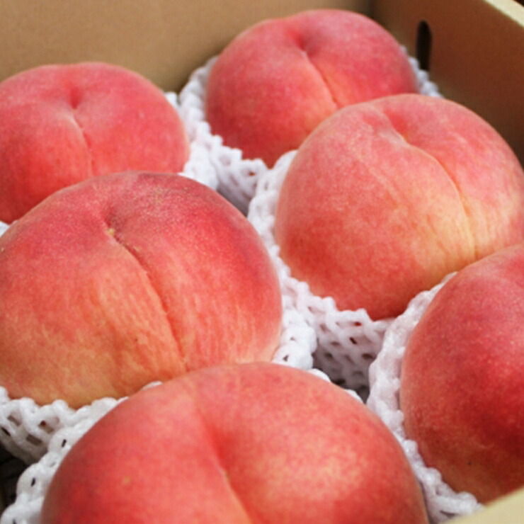 ふるさと納税 山梨のおいしい 桃 2kg 6 8個 マーケッティング期間 21年度7月影10ディとき一倍順次出荷日程表 フルーツ もも 山梨県 山梨マーケット Acilemat Com