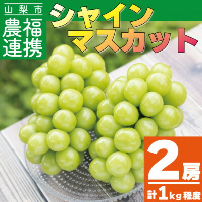 【ふるさと納税】農福連携 シャインマスカット2房(2房合計1kg程度)山梨市【ふるさと納税】【配送不可地域：離島】【1271031】