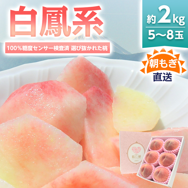【ふるさと納税】桃 『白鳳系』 約2kg 5～8玉 朝もぎ直送! 選び抜かれた桃_ ふるさと納税 ふるさと もも モモ 白鳳 フルーツ 果物 くだもの 山梨県 山梨市 山梨 人気 送料無料【配送不可地域：離島】【1275881】