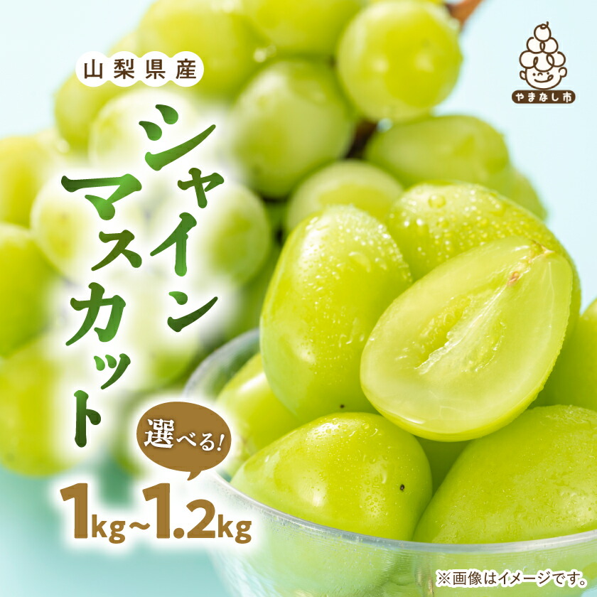【ふるさと納税】】厳選 池田青果のシャインマスカット 1kg / 1.2kg ふるさと納税 _  1000g 1200g 2房~3房 フルーツ 果物 ぶどう ブドウ マスカット 葡萄 くだもの ギフト プレゼント 贈り物 贈答 山梨県 山梨市 【配送不可地域：離島・沖縄県】【G1280515】