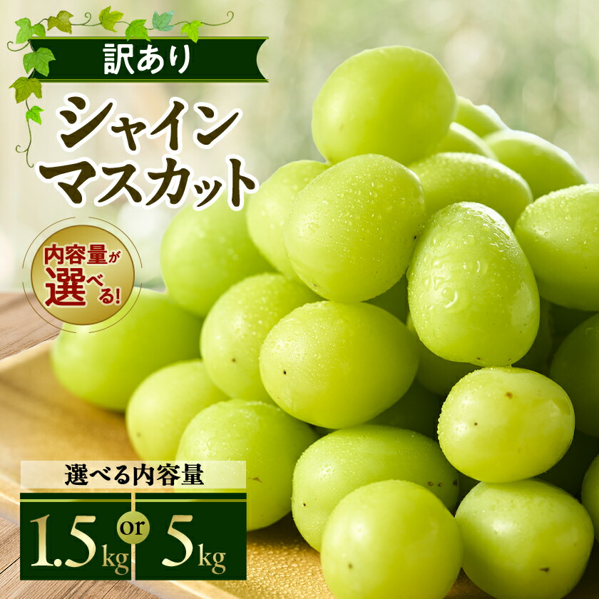 【ふるさと納税】やまなし内藤農園の【訳あり】シャインマスカット 1.5kg / 5kg _ シャイン マスカット ぶどう 葡萄 ブドウ 訳あり 訳アリ ふるさと ふるさと納税 山梨県 山梨市 やまなし 人気 果物 フルーツ【配送不可地域：離島】【G1513206】｜山梨県山梨市