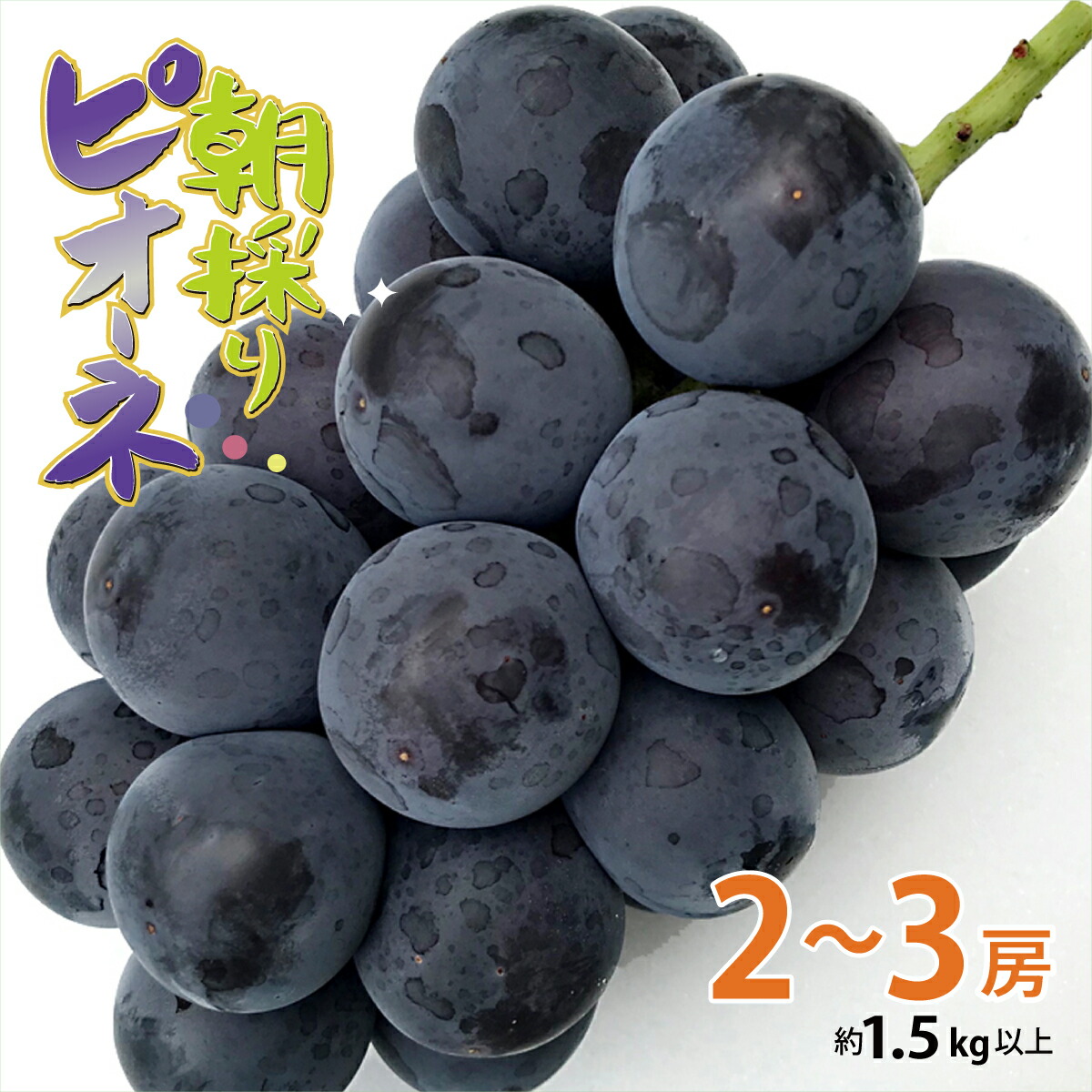 【ふるさと納税】種なし ピオーネ 約 1.5kg 2 ~ 3房 山梨県産 朝採り 鮮度 美味しい おすすめ 人気 予約 山梨県 産地直送 フルーツ ブドウ 果物  ぶどう グレープ くだもの お届け 国産 葡萄 先行予約 贈答 新鮮　【2025年8月下旬より順次発送】【1013-013】