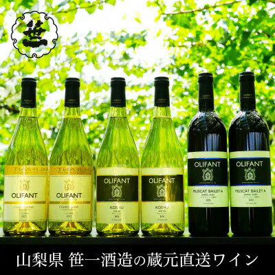【ふるさと納税】【蔵元直送】笹一酒造・OLIFANT(オリファン)ワイン 750ml×6本セット 39,000円