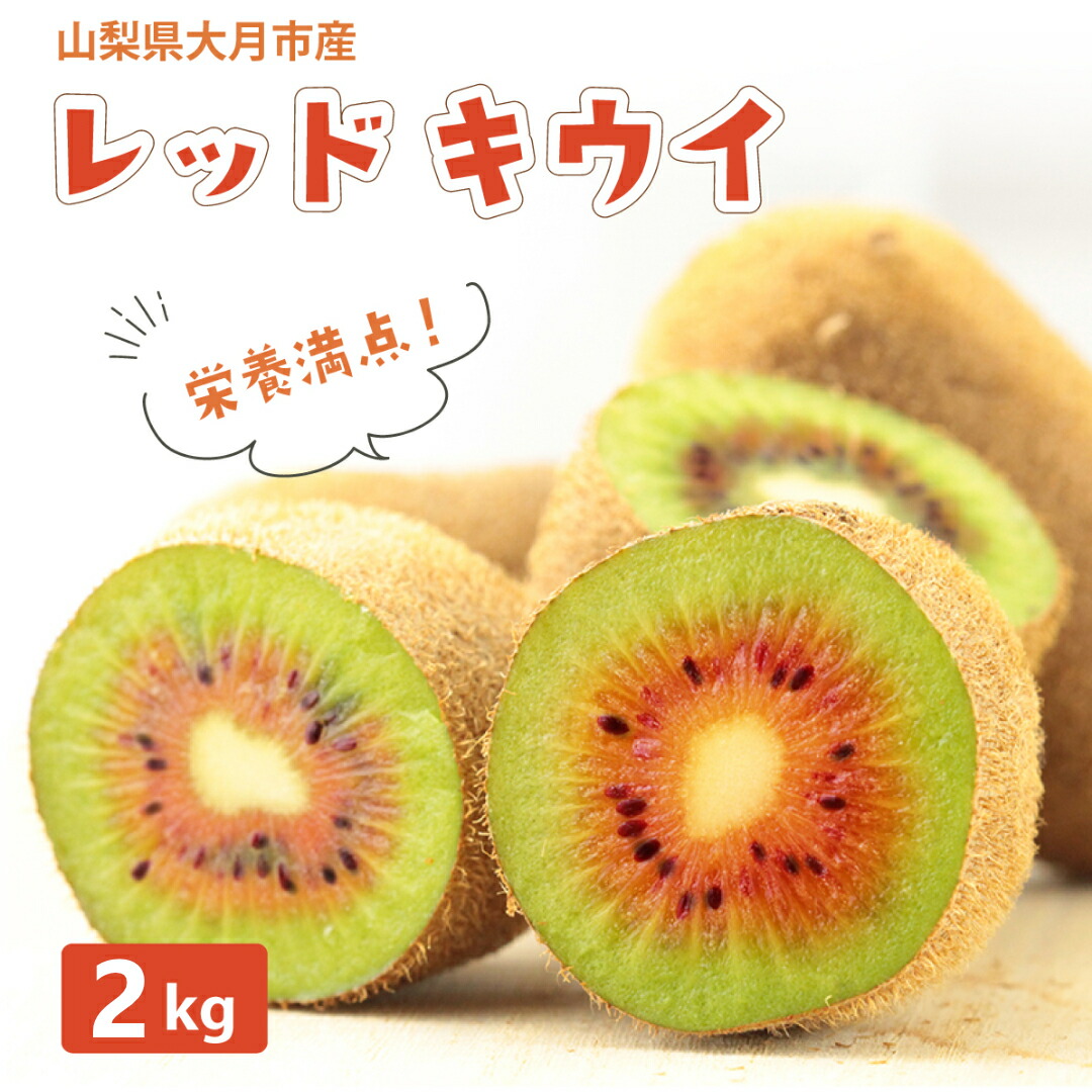 【ふるさと納税】【先行予約】ご家庭用 国産レッドキウイ(小玉) 2kg 2026年11月より順次発送|山梨県大月市
