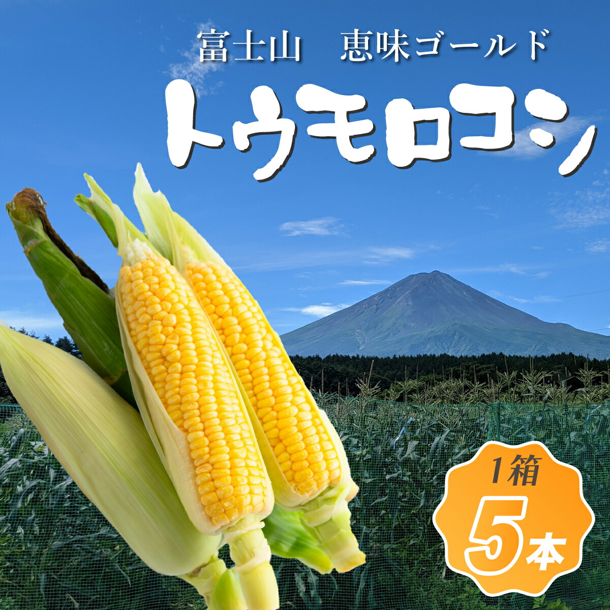 【ふるさと納税】【先行予約】富士山 恵味ゴールド トウモロコシ　5本
