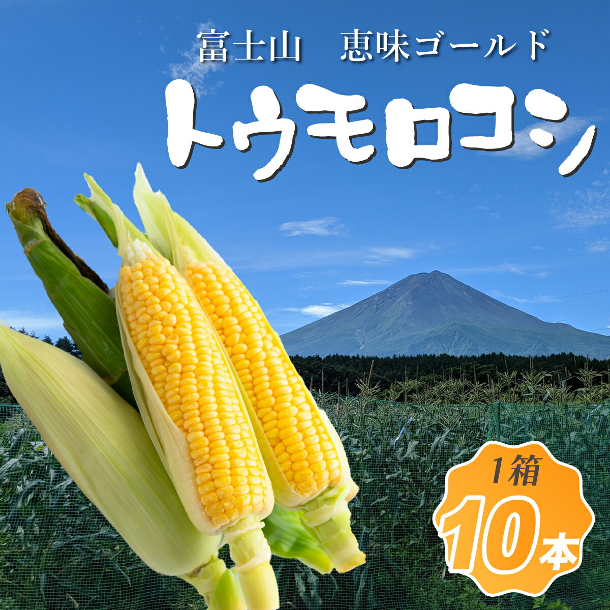 【ふるさと納税】【先行予約】富士山 恵味ゴールド トウモロコシ　10本