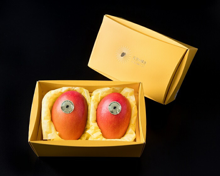 全商品オープニング価格特別価格 天空の輝き 完熟マンゴー 2l 2個入 山梨県韮崎市 時間指定不可 Sicemingenieros Com