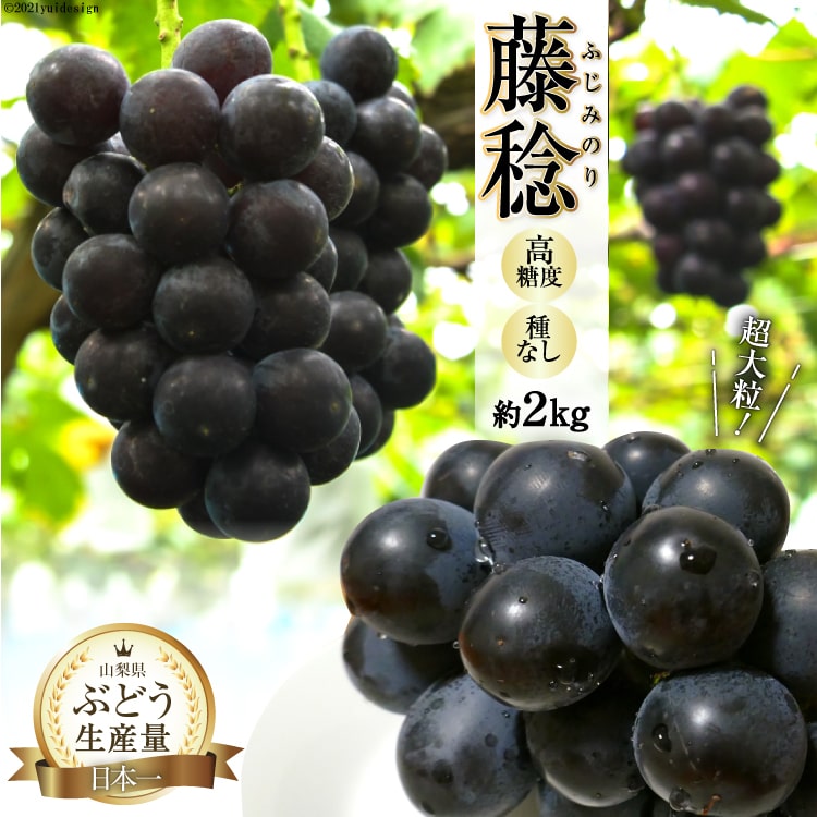 楽天市場】【ふるさと納税】 【2026年発送】粒ぶどう シャイン