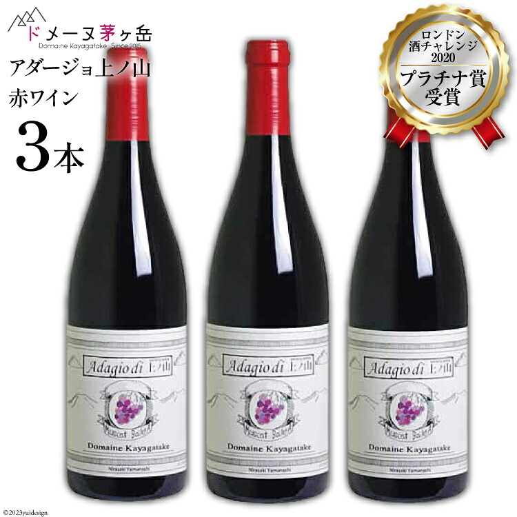 【ふるさと納税】 ワイン 山梨 赤 赤ワイン 750ml 3本 マスカット・ベーリーA 完熟 完熟ぶどう 樽熟 10-8.「アダージョ上ノ山」 赤ワイン 3本 ロンドン酒チャレンジ プラチナ賞 母の日 父の日 記念日 ギフト 送料無料 [ドメーヌ茅ヶ岳 山梨県 韮崎市 20743377]