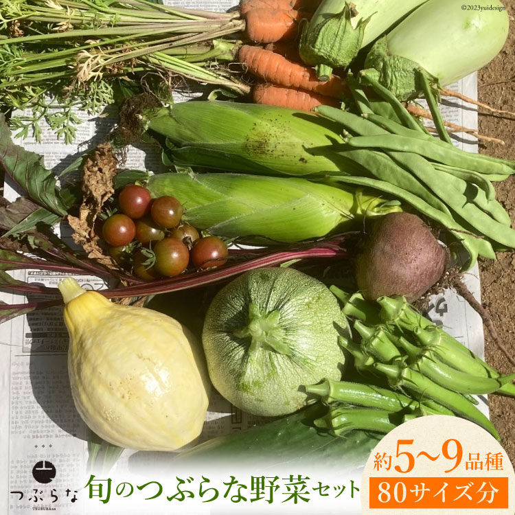 【ふるさと納税】【期間限定発送】旬のつぶらな野菜セット 5～9品種前後 80サイズ分 [つぶらな 山梨県 韮崎市 20741895] 野菜 季節野菜 食べきりサイズ ミニ品種 冷蔵
