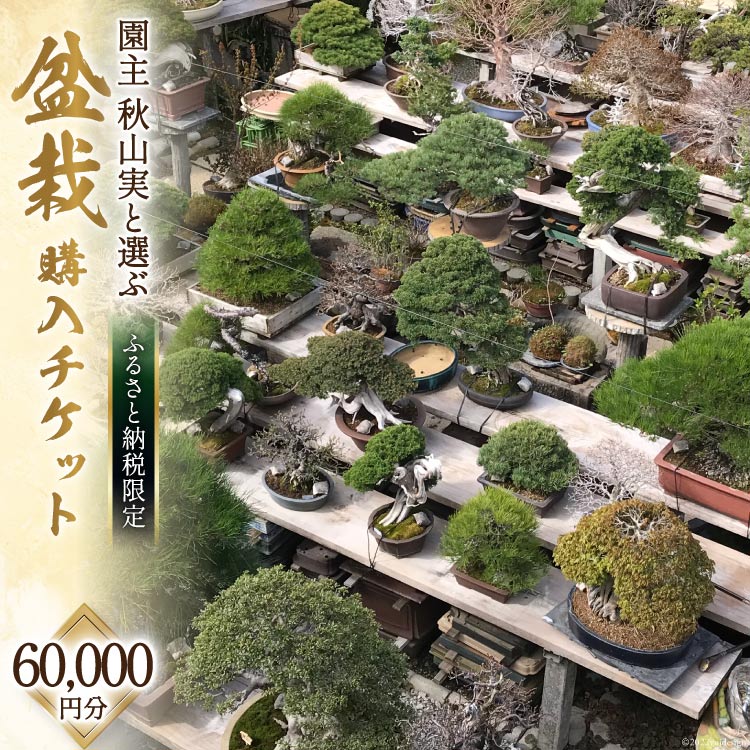 【ふるさと納税】 【ふるさと納税限定】 盆栽 ぼんさい 父の日 プレゼント 限定 自然 園芸 盆栽鉢 盆栽購入 チケット 60,000円分 園主 「秋山実」 内閣総理大臣賞 受賞 と選ぶ 趣味 芸術 庭 緑 ガーデニング ギフト [秋山園 山梨県 韮崎市 20740912]｜山梨県韮崎市