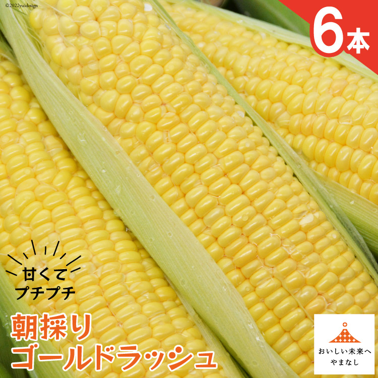 【ふるさと納税】【期間限定発送】 朝採り 即出荷 甘くてプチプチ ゴールドラッシュ 6本 [しゃんと畑 山梨県 韮崎市 20743273] 野菜 とうもろこし トウモロコシ