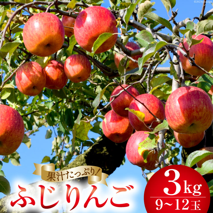 【ふるさと納税】【2025年発送】 【 数量限定 】 りんご ふじ 約3kg (9～12玉) [長坂りんご園 山梨県 韮崎市 20742156] 果物 フルーツ くだもの 果実 デザート リンゴ 林檎 3キロ 旬 山梨 山梨県産 期間限定 季節限定