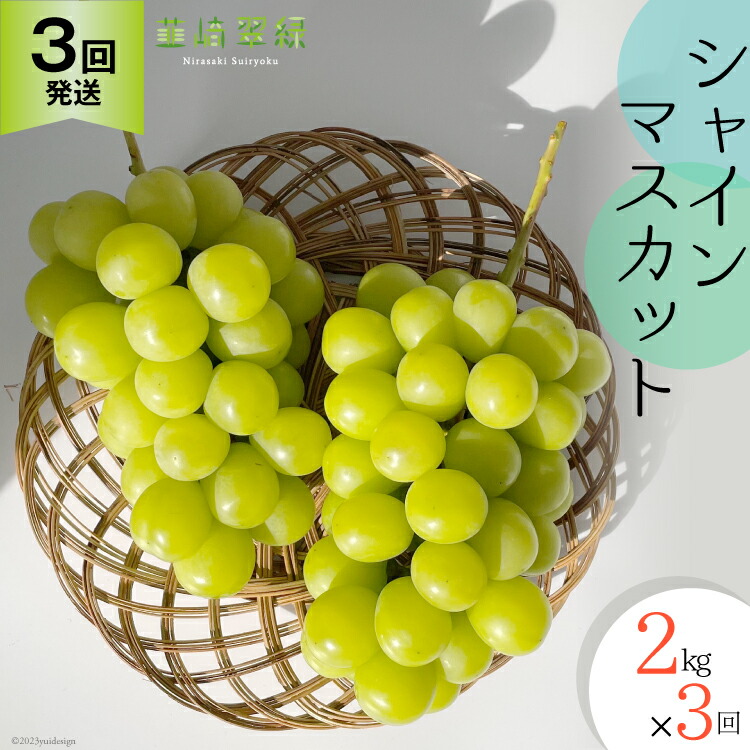 【ふるさと納税】【2025年発送】【3回発送】シャインマスカット NS-1012 韮崎翠緑セレクト 2kg相当×3回 計6kg [韮崎翠緑 山梨県 韮崎市 20742829] ぶどう ブドウ 葡萄 シャイン マスカット 種なし 果物 くだもの フルーツ 山梨県産 産地直送 期間限定 季節限定 冷蔵