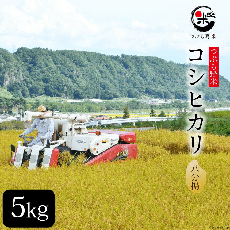 楽天市場】【ふるさと納税】米 梨北米 コシヒカリ 10kg [梨北