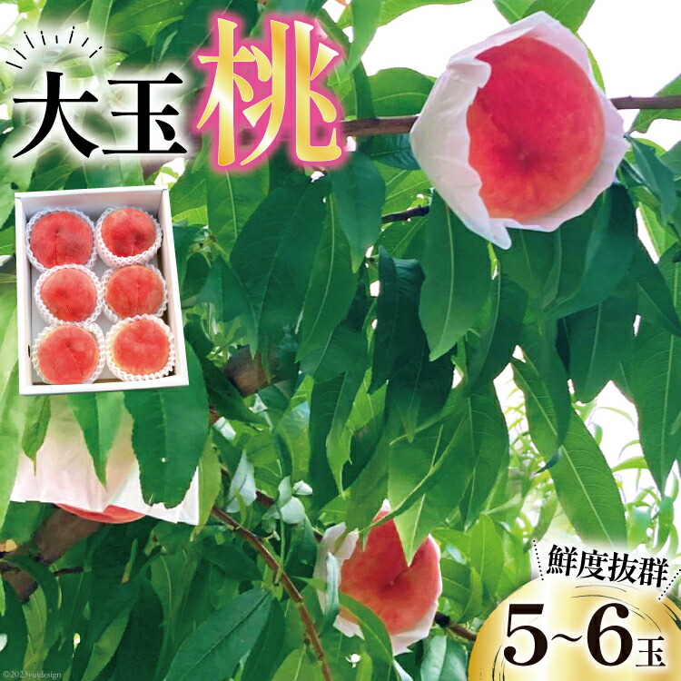 【ふるさと納税】【2025年発送】 桃 大玉桃 5～6玉 約2kg [斉藤農園 山梨県 韮崎市 20743039] もも モモ 2キロ 果物 フルーツ くだもの 果実 旬 季節限定 期間限定 数量限定 冷蔵 山梨 大玉 デザート
