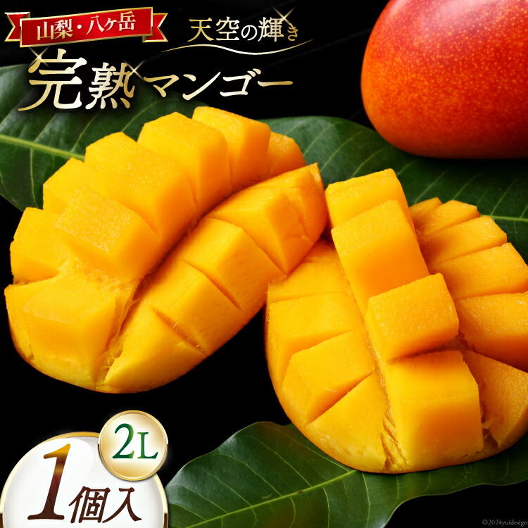 実付⑩ ヤマシタマンゴー　耐寒性　特選フルーツ 実付⑩ ヤマシタマンゴー 耐寒性 特選フルーツ 実付⑩ ヤマシタ