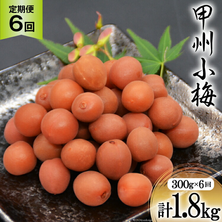 【ふるさと納税】 【6回 定期便 毎月】【カリカリ】甲州小梅 300g [山梨農産食品 山梨県 韮崎市 20743718] 梅干し 梅干 うめぼし 梅 小粒 小梅 カリカリ梅 国産 おやつ｜山梨県韮崎市