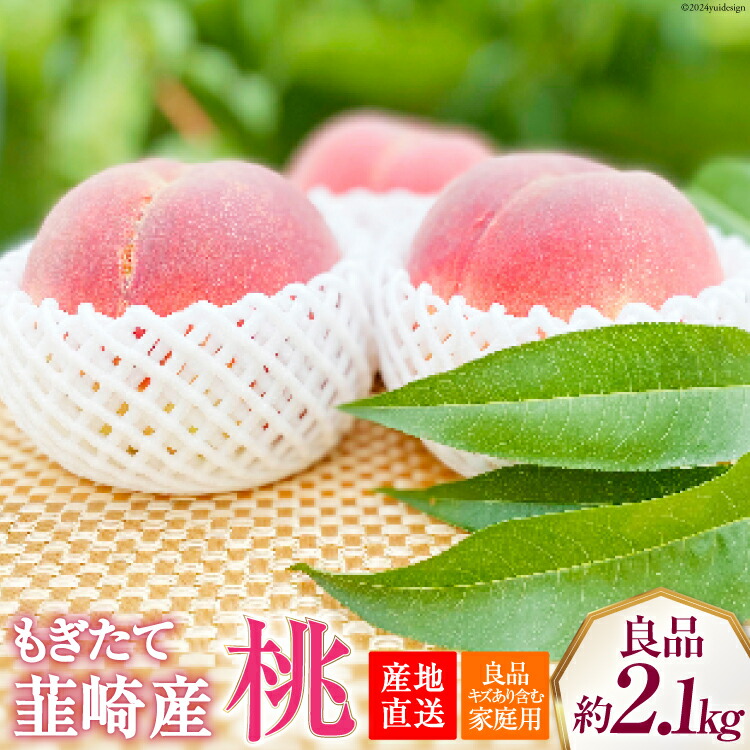 【ふるさと納税】【2025年発送】【良品】訳あり 家庭用 朝獲れ もぎたて 桃  約2.1kg（4～6玉） [韮崎市桃農家の産直 山梨県 韮崎市20742792] もも 桃 モモ フルーツ 果物 山梨県産 産地直送 期間限定 季節限定 冷蔵