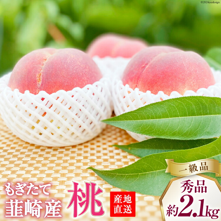【ふるさと納税】【2025年発送】【秀品】朝獲れ もぎたて 桃 約2.1kg（4～6玉） [韮崎市桃農家の産直 山梨県 韮崎市 20742793] もも 桃 モモ フルーツ 果物 くだもの 山梨県産 産地直送 期間限定 季節限定 冷蔵 朝どれ 白鳳 白桃