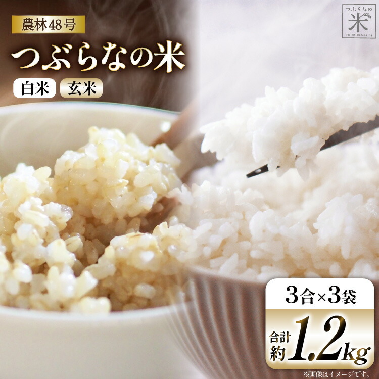 【ふるさと納税】米 令和7年 つぶらなの米 農林48号 白米 3合×2袋 & 玄米 3合×1袋 計3袋 [つぶらな 山梨県 韮崎市 20741898] 白米 玄米 げんまい お米 こめ コメ おこめ ご飯 ごはん お試し 少量 小分け 2種 セット 山梨県産