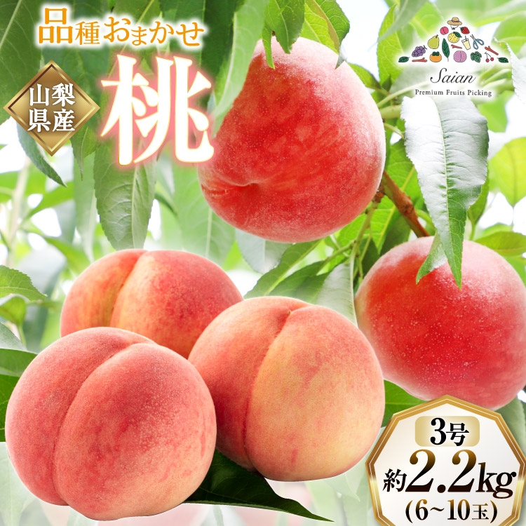 【ふるさと納税】【2025年発送】訳あり もも 白鳳 or 白桃 3号 約2.2kg (6～10玉)【6月後半から順次発送】 [斎庵 山梨県 韮崎市 20742800] 桃 モモ 果物 フルーツ 山梨 期間限定 季節限定 冷蔵 農福連携 レビューキャンペーン