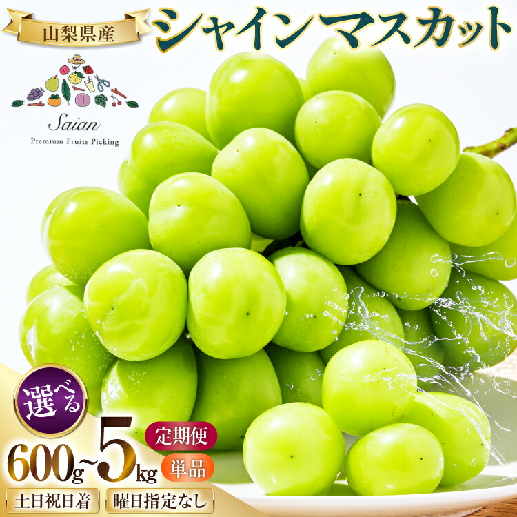【ふるさと納税】【2025年発送】山梨県産 シャインマスカット 選べる土日着 600g～5kg 定期便 [斎庵 山梨県 韮崎市 20743909] 600g 700g 1.2kg 2kg 2キロ 定期 フルーツ 果物 くだもの マスカット シャイン 山梨 ぶどう ブドウ 葡萄 種無し 先行予約 レビューキャンペーン