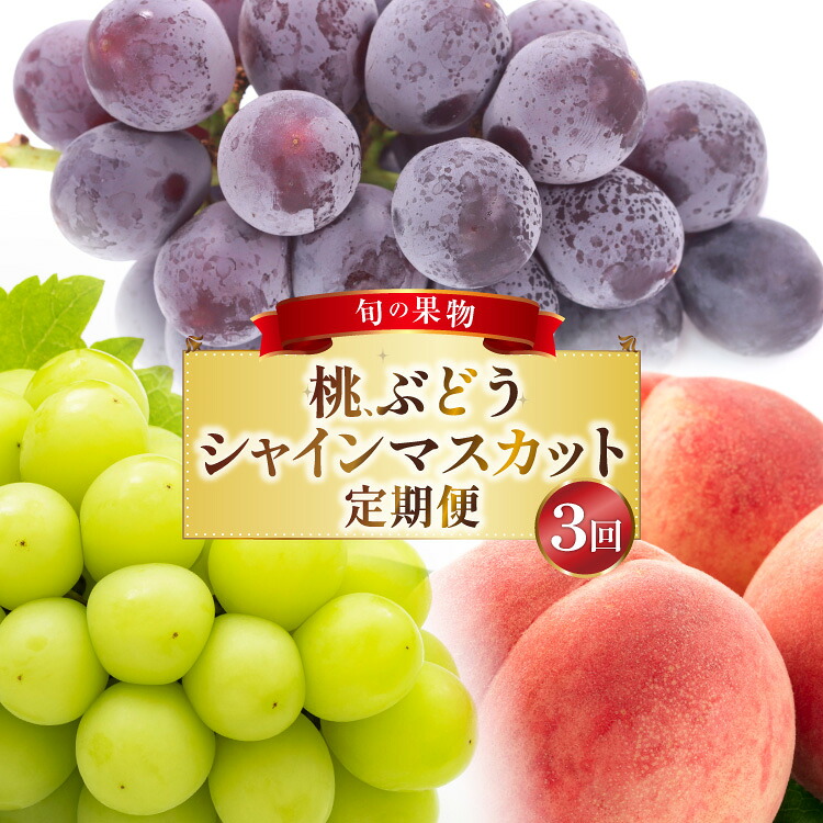 【ふるさと納税】 フルーツ 定期便 3回 山梨 旬な果物 大満足3種セット 桃 2.2kg(6～10玉) ぶどう 900g(2房) シャインマスカット 1.2kg(2房) [斎庵 山梨県 韮崎市 20743911] フルーツ定期便 果物 くだもの 定期 マスカット シャイン 葡萄 ぶどう ブドウ 巨峰 ピオーネ もも