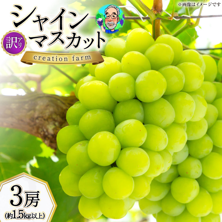 【ふるさと納税】 【2026年発送】 訳あり シャインマスカット 2026 予約 朝採れ 3房 計 1.5kg以上 シャイン マスカット 山梨 やまなし フルーツ 果物 くだもの ブドウ ぶどう 葡萄 山梨県産 訳アリ わけあり 家庭用 [Creation farm 山梨県 韮崎市 20744955]｜山梨県韮崎市