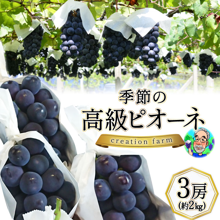 【ふるさと納税】【2025年発送】季節のぶどう 高級 ピオーネ 3房 約2kg《8月下旬～9月上旬お届け》 [Creation farm 山梨県 韮崎市 20743253] ぶどう ブドウ 葡萄 ピオーネ 大粒 2キロ 果物 フルーツ くだもの 季節限定 期間限定 数量限定 冷蔵