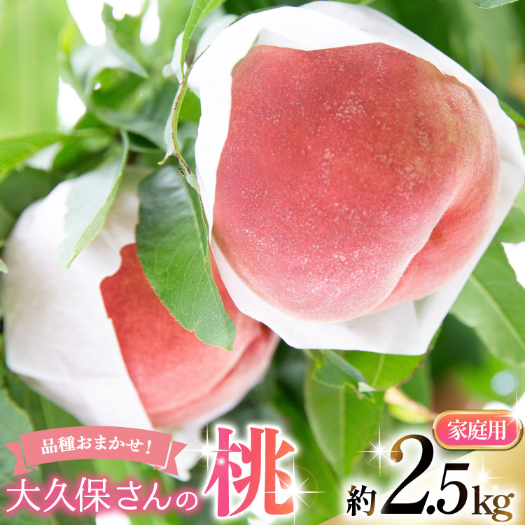 ふるさと納税  韮崎市産 巨峰 約2kg [梨北農業協同組合 山梨県 韮崎市 20743007] ぶどう ブドウ 葡萄 果物 くだもの フルーツ 2キ.. 山梨県韮崎市