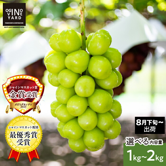 楽天市場】【ふるさと納税】＜2026年発送先行予約＞ 山梨県産早期出荷