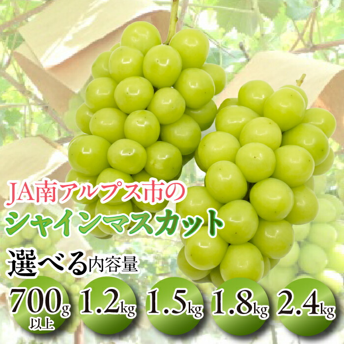 【ふるさと納税】 5-1 【2025年／令和7年発送先行予約】絶品！南アルプス市産シャインマスカット【選べるサ】ふるさと納税 おすすめ 山梨県 南アルプス市 フルーツ 送料無料 ALPAA003