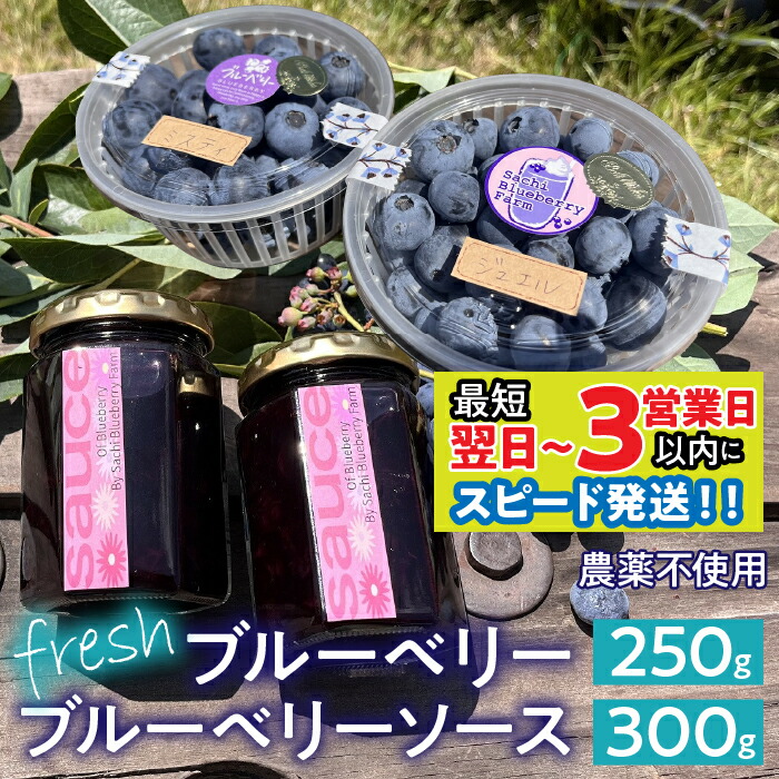 【ふるさと納税】 【最短寄付翌日～3営業日以内に発送！】南アルプス市産【農薬不使用】フレッシュブルーベリー250g+当ファーム自家製フレッシュソース2瓶SET ふるさと納税 ブルーベリー 水耕栽培 大粒 果物 くだもの ブルーベリーソース おすすめ 南アルプス市 ALPBL003｜山梨県南アルプス市