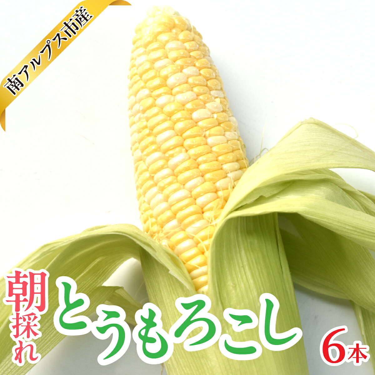 【ふるさと納税】＜2026年発送先行予約＞南アルプス市産　朝採れ　とうもろこし　6本　ALPAJ061