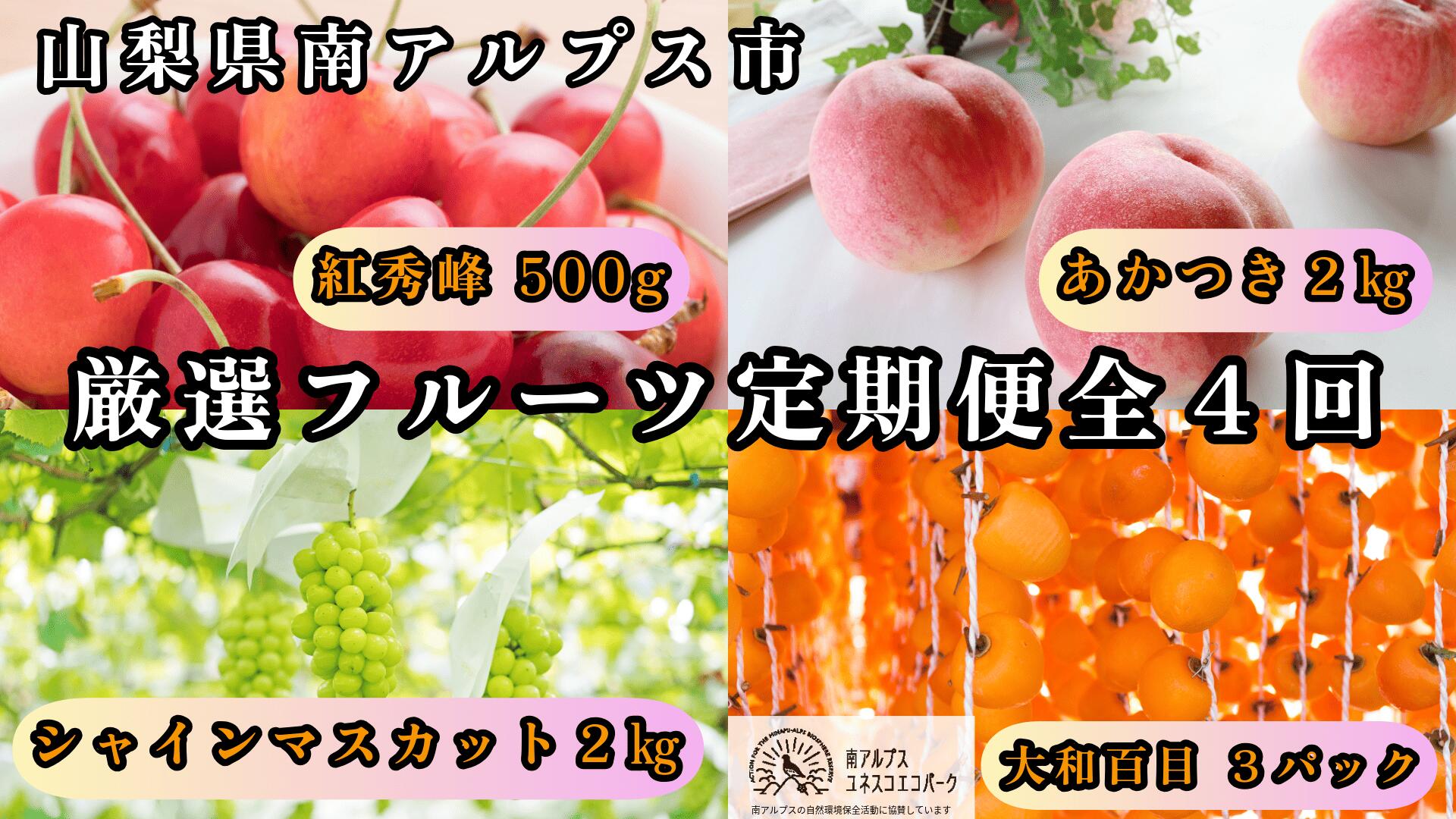 【ふるさと納税】＜2026年発送先行予約＞山梨県南アルプス市産 厳選フルーツ定期便全4回B(さくらんぼ・桃・シャインマスカット2kg・あんぽ柿) ふるさと納税 サクランボ シャイン 定期便 果物 フルーツ おすすめ 山梨県 南アルプス市 送料無料 ALPEM016 43,800円