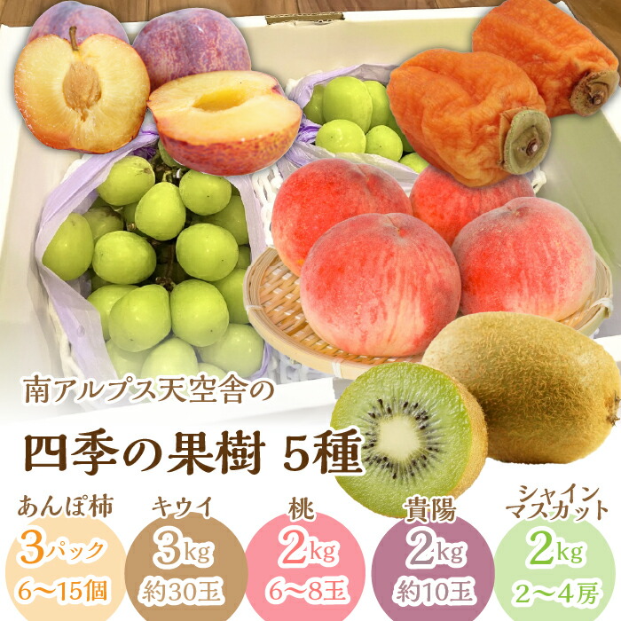 【ふるさと納税】南アルプス天空舎四季の果樹5種(あんぽ柿,キウイ,もも,貴陽,シャインマスカット) ALPAB012|山梨県南アルプス市