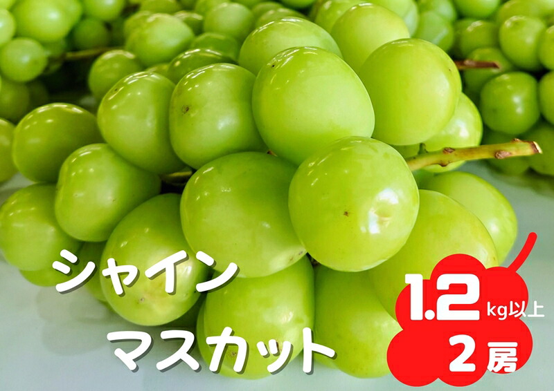 楽天市場】【ふるさと納税】先行予約 桃 光センサー「黄金桃」約3kg 2022年産 冷蔵出荷 1.5-1-44 ＜出荷時期：2022年7月下旬〜8月中旬＞【  フルーツ 山梨県 南アルプス市 】 : 山梨県南アルプス市