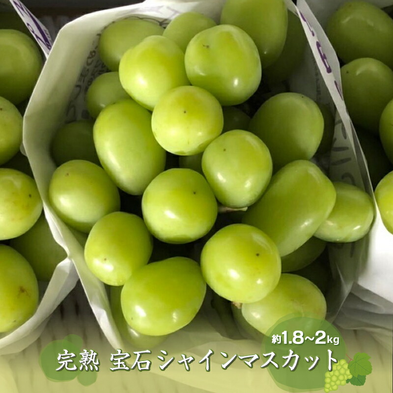 フルーツトマト トマ糖 太陽のめぐみ 冷蔵出荷 出荷時期 フルティカ２kg