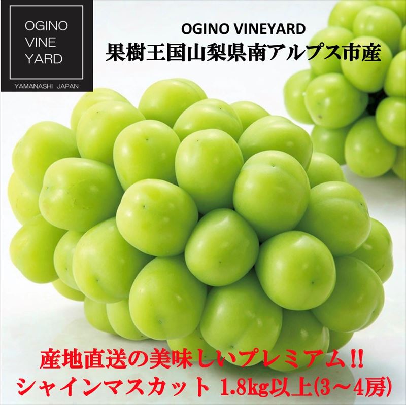 未使用品】 ２０２２年秋収穫先行予約 果樹王国山梨県産シャインマスカット １．８kg以上 ３〜４房 出荷時期 fucoa.cl