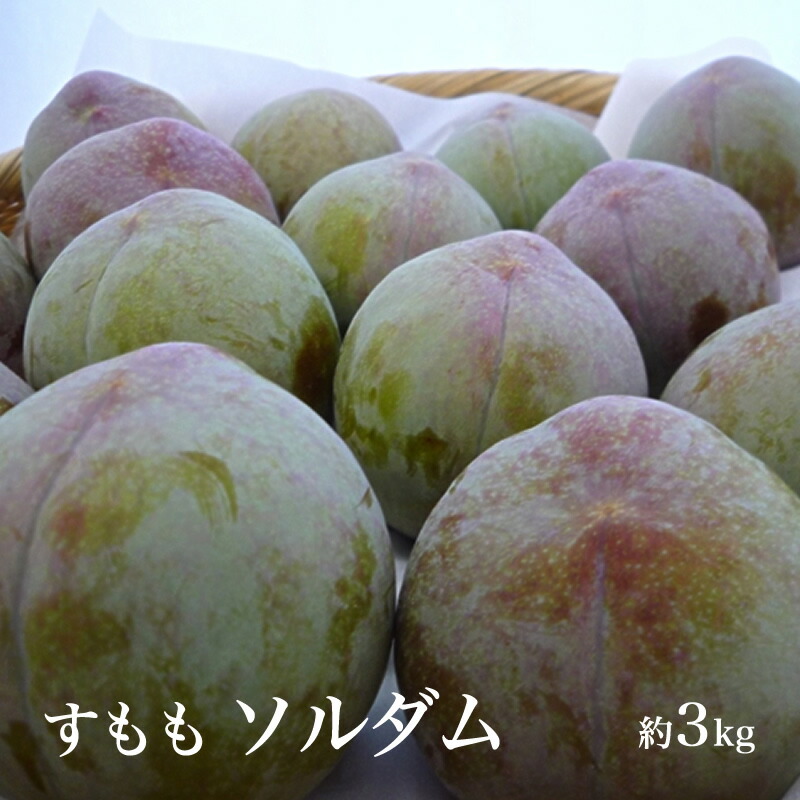 【ふるさと納税】 【2025年／令和7年発送先行予約】すもも「ソルダム」10～13玉入り×2箱約3ｋｇ ふるさと納税 すもも ソルダム 果物 フルーツ 10玉 おすすめ 山梨県 南アルプス市 送料無料 ALPAA002