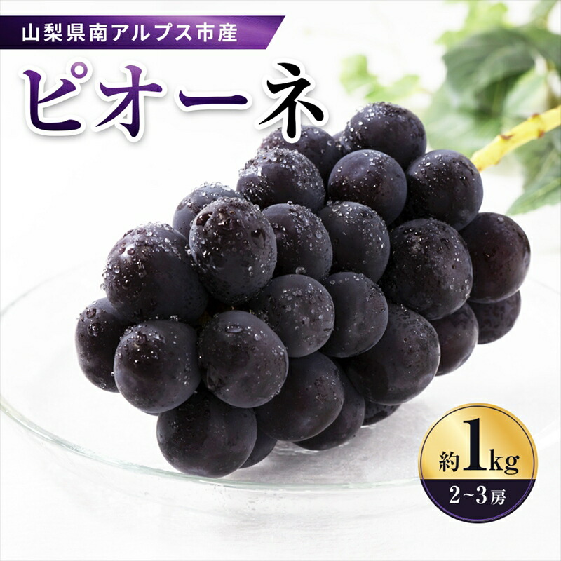 【ふるさと納税】 ＜2025年発送分先行予約＞南アルプス市産　旬の採れたてピオーネ　2～3房入り　約1kg ふるさと納税 ピオーネ 葡萄 黒ぶどう 果物 フルーツ おすすめ 山梨県 南アルプス市 送料無料 ALPAH012