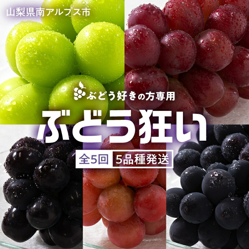 【ふるさと納税】 5-89 ぶどう狂い　シャインマスカットを含むぶどう5種 ふるさと納税  おすすめ 山梨県 南アルプス市 送料無料 ALPAH018