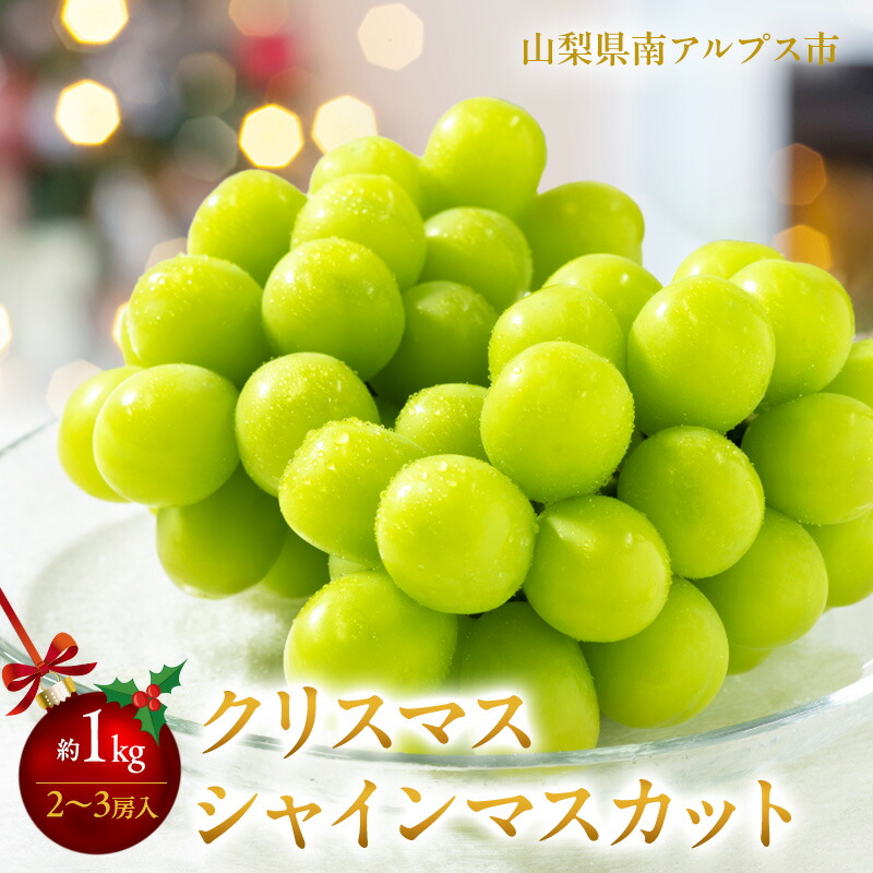 【ふるさと納税】 ＜2025年発送分先行予約＞冬季限定！！山梨県南アルプス市産　クリスマスシャインマスカット　約1.0kg 2～3房入り ふるさと納税 シャインマスカット マスカット 冬発送 果物 フルーツ おすすめ 山梨県 南アルプス市 送料無料 ALPAH002