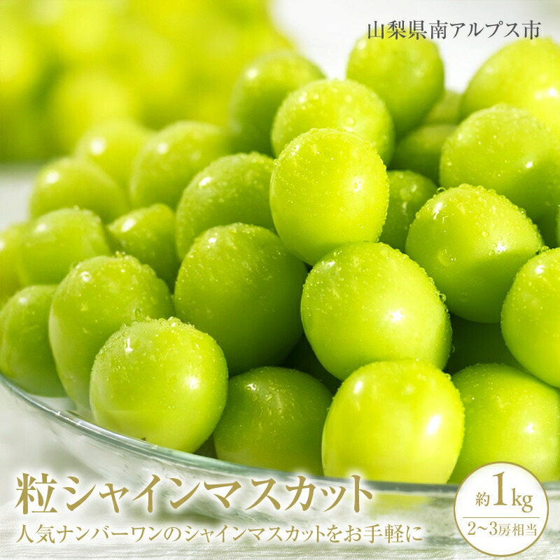 【ふるさと納税】 ＜2025年発送分先行予約＞山梨県南アルプス市産シャインマスカット　粒　1ｋｇ ふるさと納税 シャインマスカット マスカット 葡萄 果物 フルーツ おすすめ 山梨県 南アルプス市 送料無料 ALPAH044
