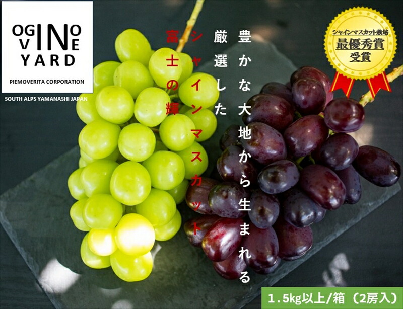 【ふるさと納税】 ２０２５年秋収穫先行予約 山梨県産 富士の輝＆シャインマスカット １．5ｋｇ以上／箱 ２房入 ふるさと納税 シャインマスカット 富士の輝き ぶどう 黒ぶどう マスカット 葡萄 果物 フルーツ 2房 おすすめ 山梨県 南アルプス市 送料無料 ALPAK013